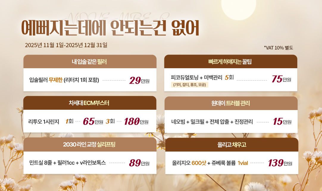 11-12월 프로모션